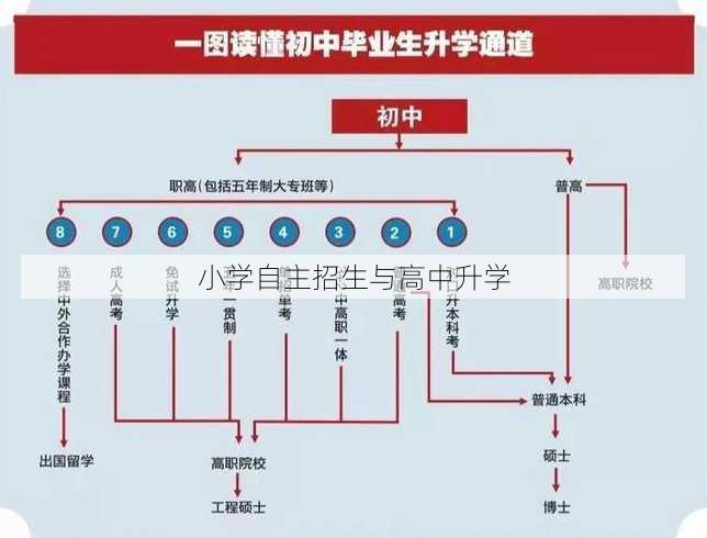 小学自主招生与高中升学