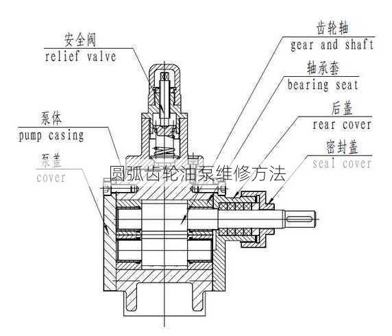 圆弧齿轮油泵维修方法