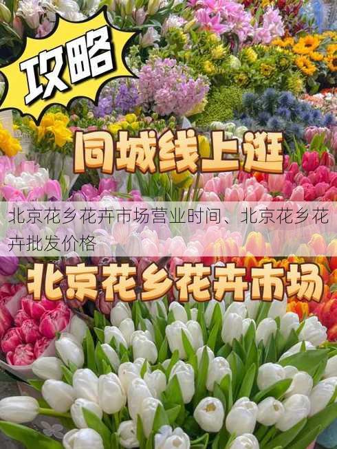 北京花乡花卉市场营业时间、北京花乡花卉批发价格