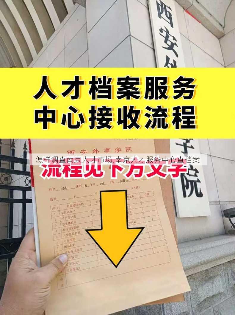 怎样调查南京人才市场,南京人才服务中心查档案