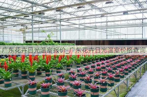 广东花卉日光温室报价_广东花卉日光温室价格查询