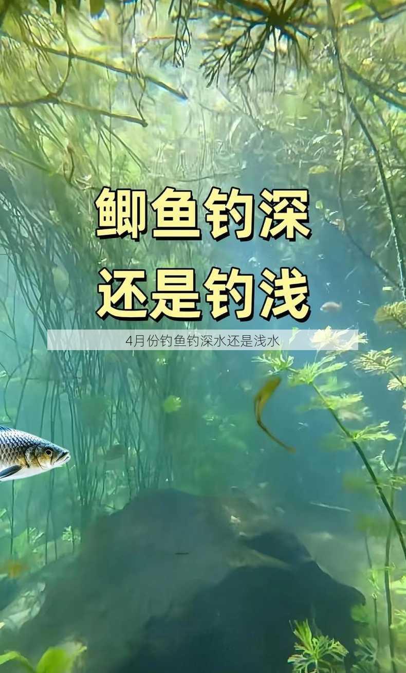 4月份钓鱼钓深水还是浅水