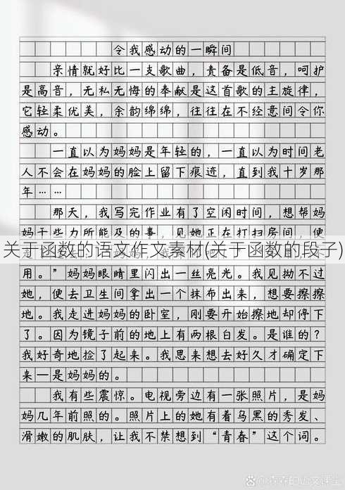 关于函数的语文作文素材(关于函数的段子)