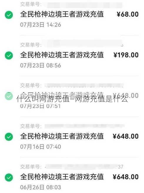 什么叫网游充值—网游充值是什么