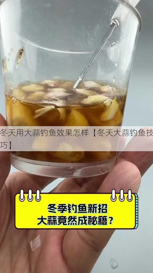 冬天用大蒜钓鱼效果怎样【冬天大蒜钓鱼技巧】