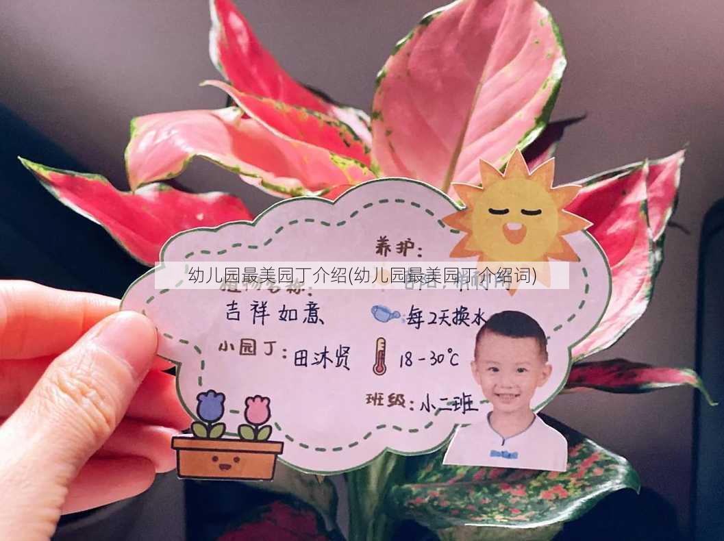 幼儿园最美园丁介绍(幼儿园最美园丁介绍词)