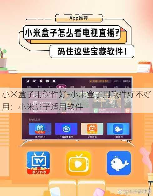 小米盒子用软件好-小米盒子用软件好不好用：小米盒子适用软件