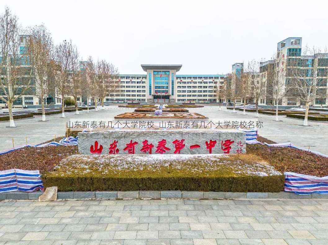 山东新泰有几个大学院校_山东新泰有几个大学院校名称