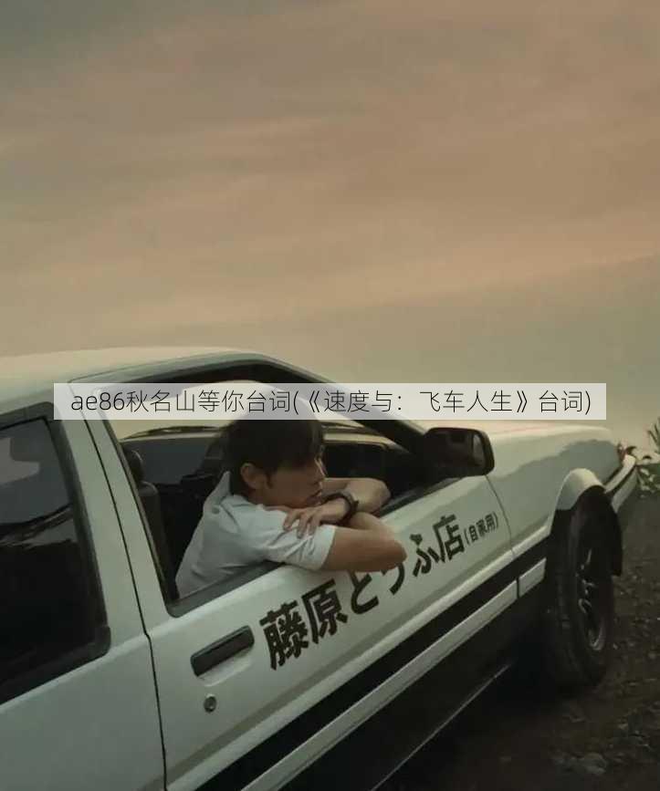 ae86秋名山等你台词(《速度与：飞车人生》台词)