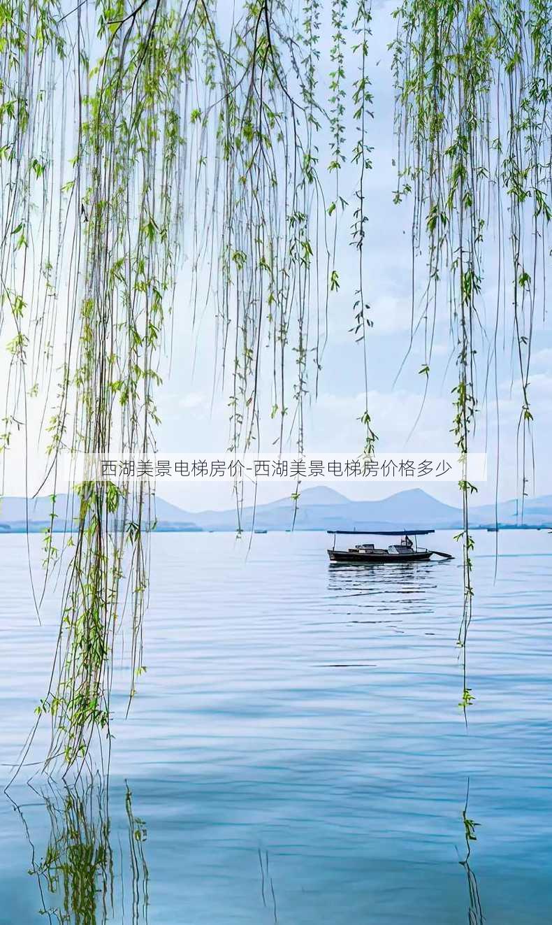 西湖美景电梯房价-西湖美景电梯房价格多少