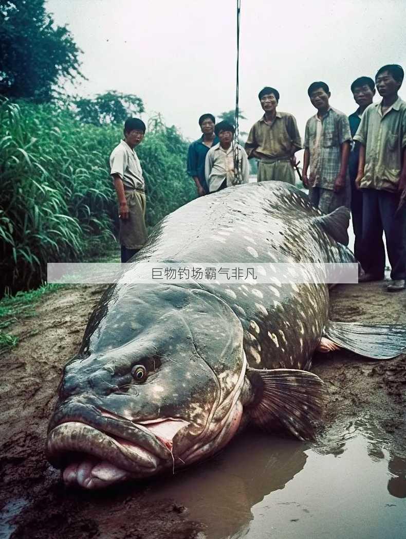 巨物钓场霸气非凡