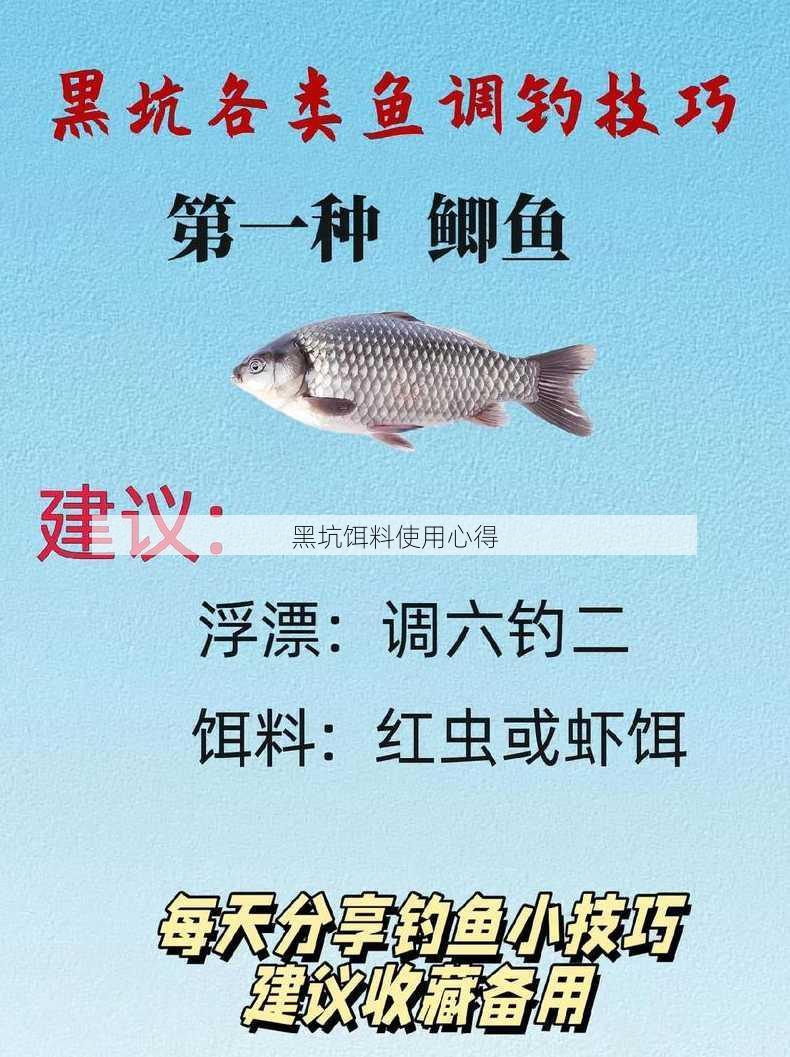 黑坑饵料使用心得