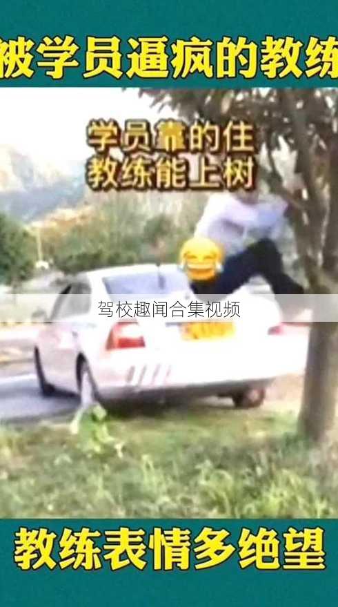 驾校趣闻合集视频