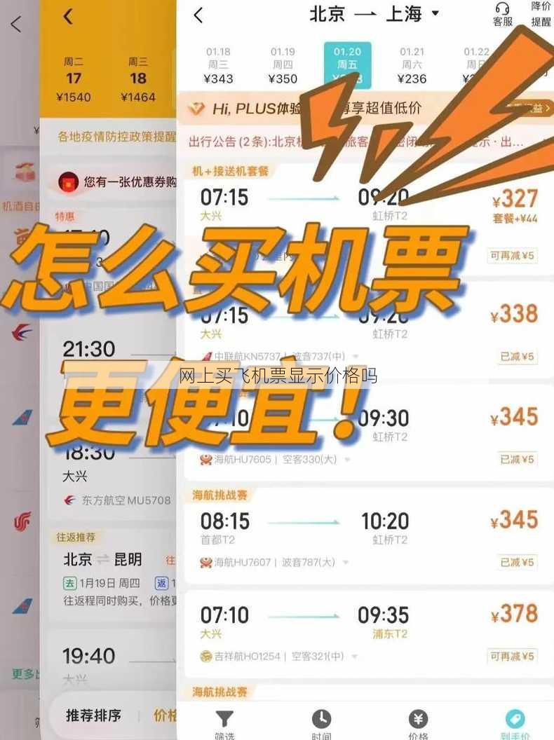 网上买飞机票显示价格吗