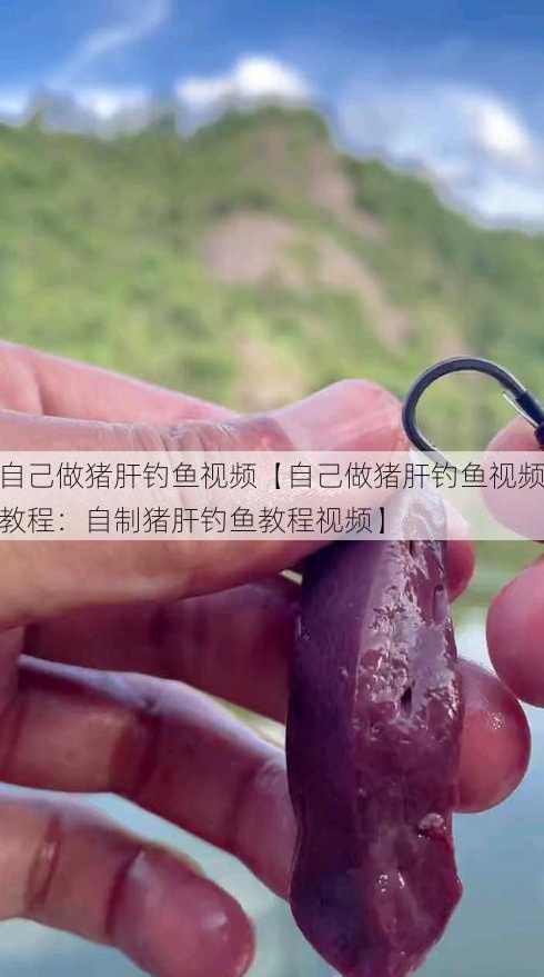 自己做猪肝钓鱼视频【自己做猪肝钓鱼视频教程：自制猪肝钓鱼教程视频】