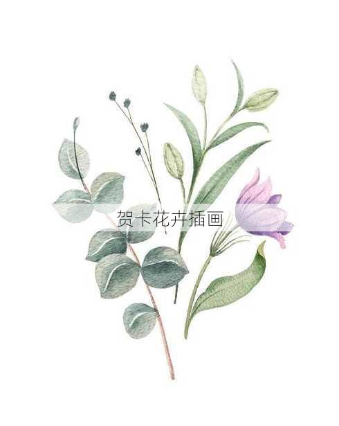 贺卡花卉插画