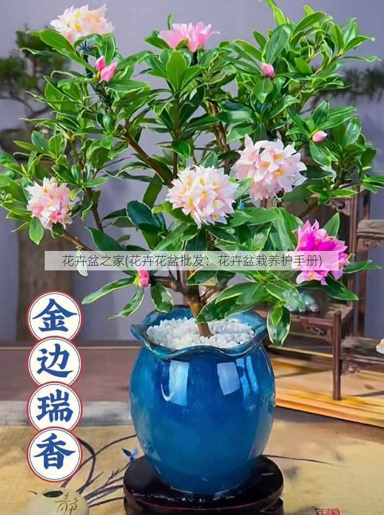 花卉盆之家(花卉花盆批发：花卉盆栽养护手册)