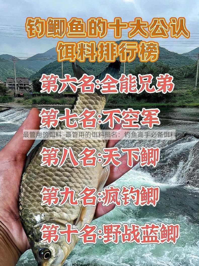 最管用的饵料_最管用的饵料排名：钓鱼高手必备饵料