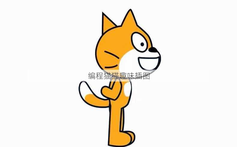 编程猫猫趣味插图