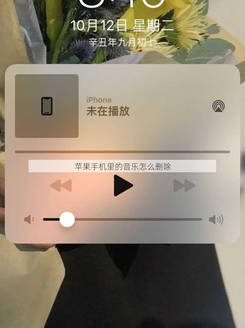 苹果手机里的音乐怎么删除