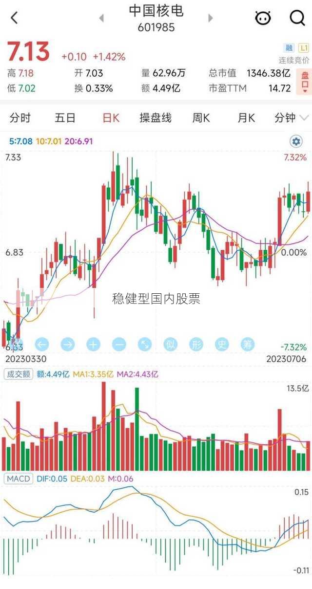 稳健型国内股票