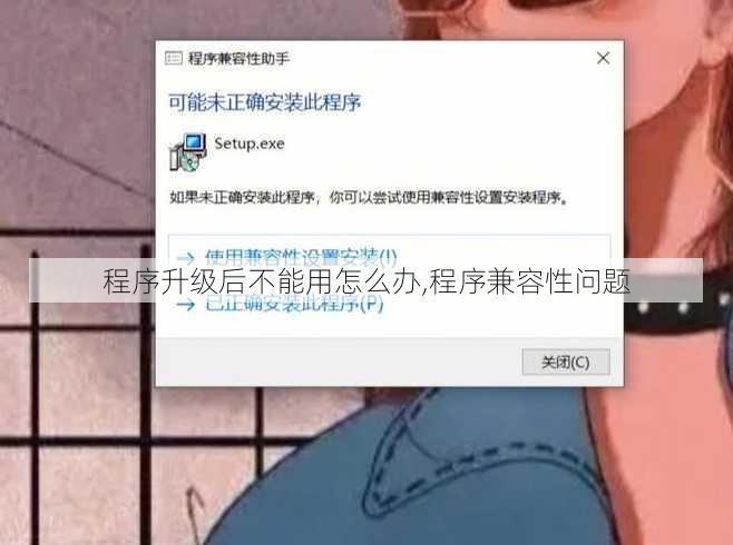 程序升级后不能用怎么办,程序兼容性问题