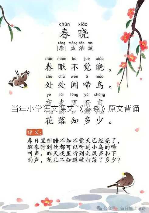 当年小学语文课文,《春晓》原文背诵