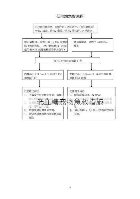 低血糖宠物急救措施