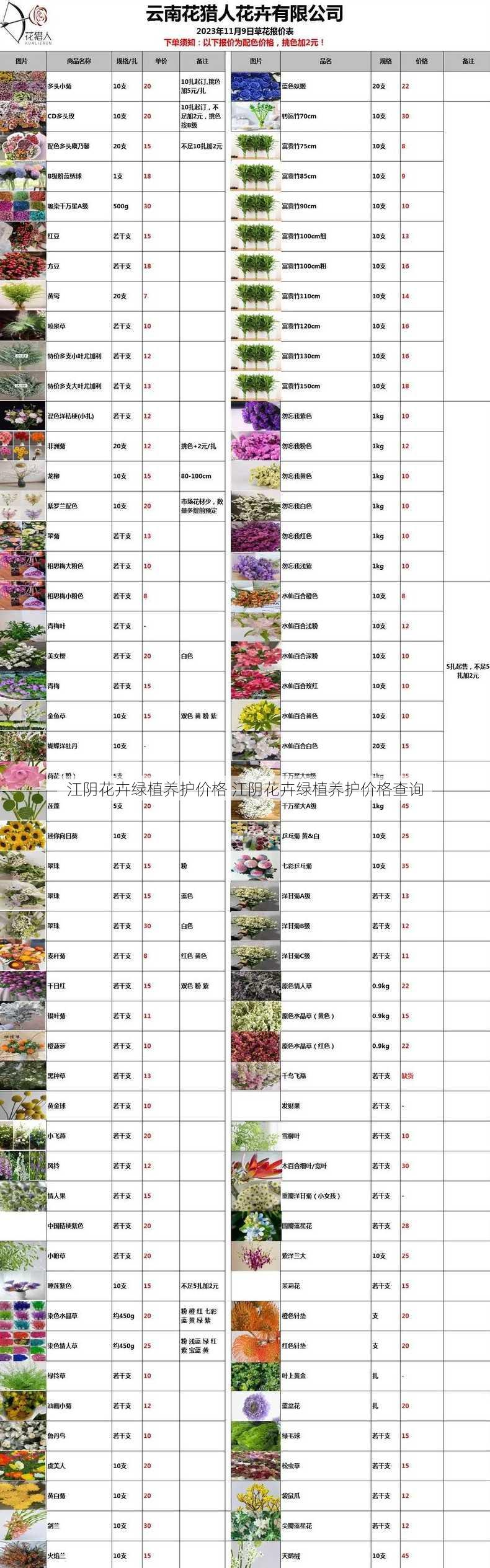 江阴花卉绿植养护价格 江阴花卉绿植养护价格查询