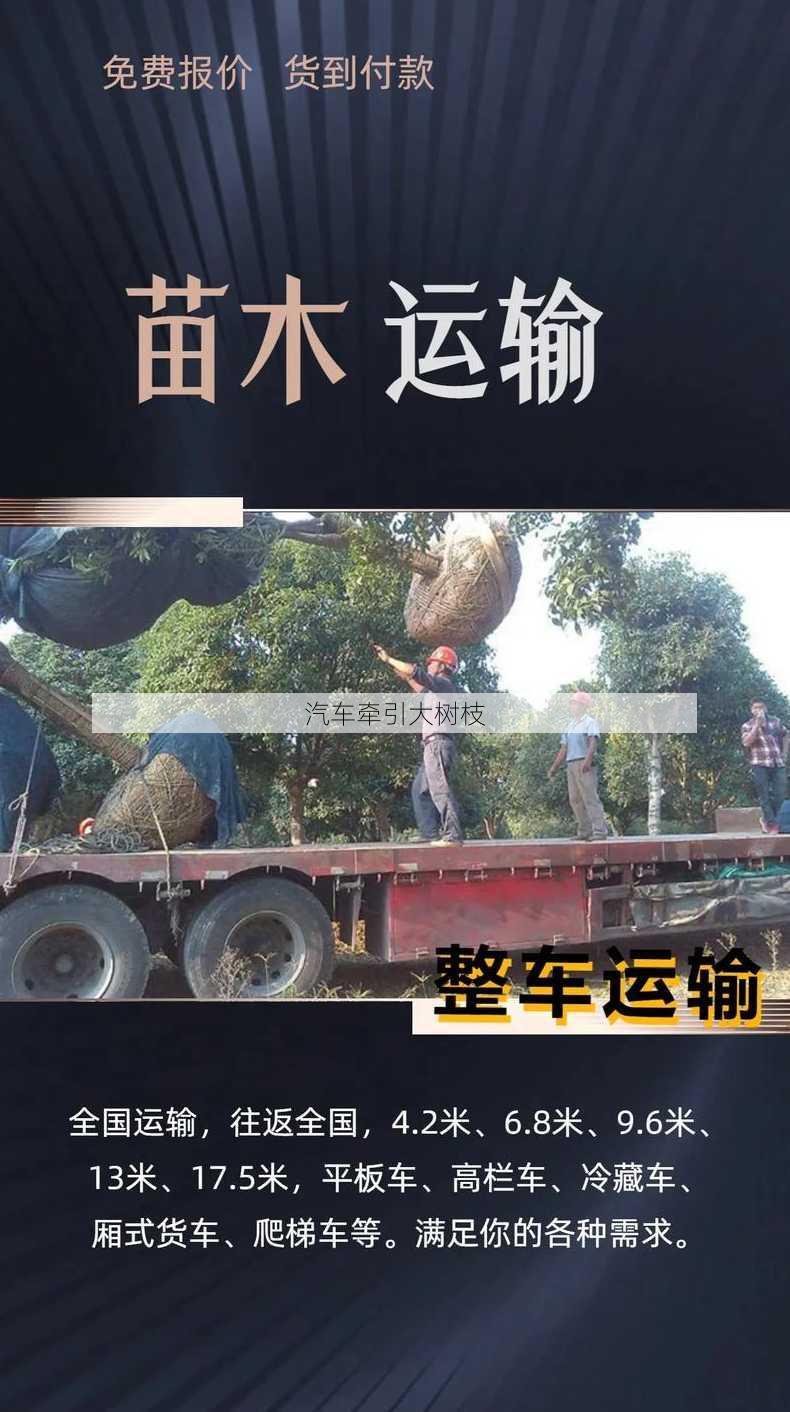 汽车牵引大树枝