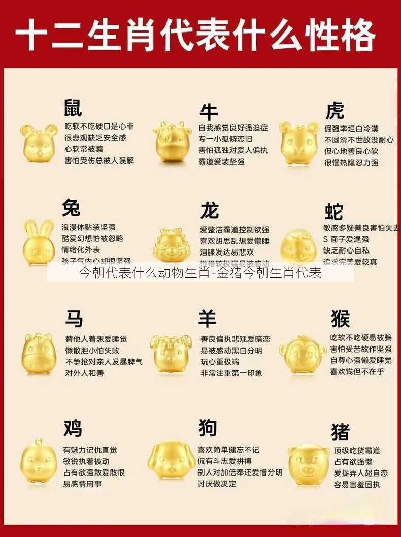 今朝代表什么动物生肖-金猪今朝生肖代表