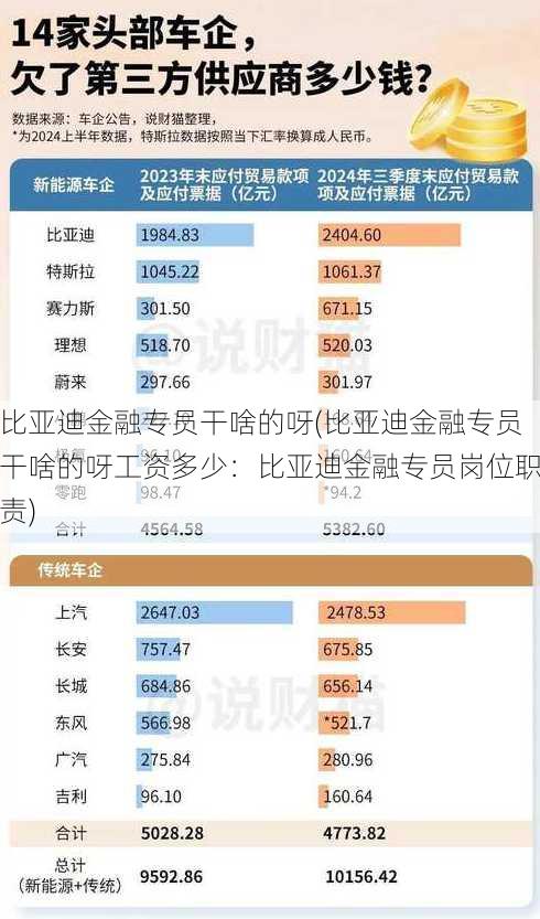 比亚迪金融专员干啥的呀(比亚迪金融专员干啥的呀工资多少：比亚迪金融专员岗位职责)