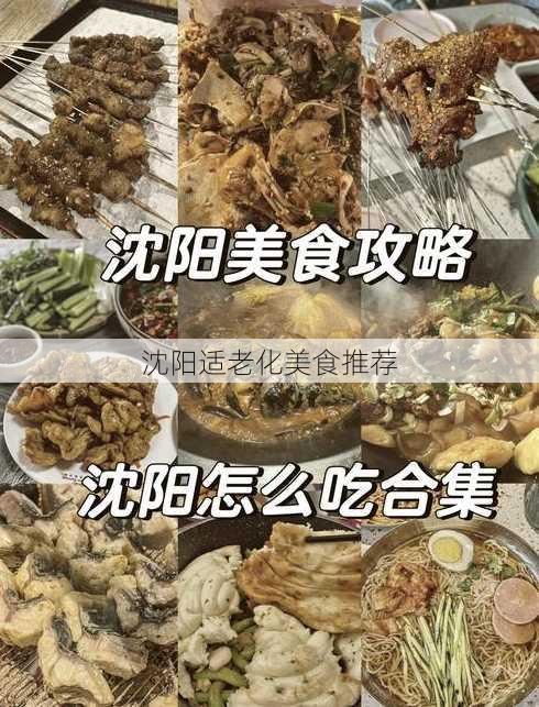 沈阳适老化美食推荐