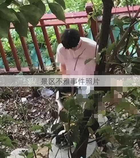 景区不雅事件照片