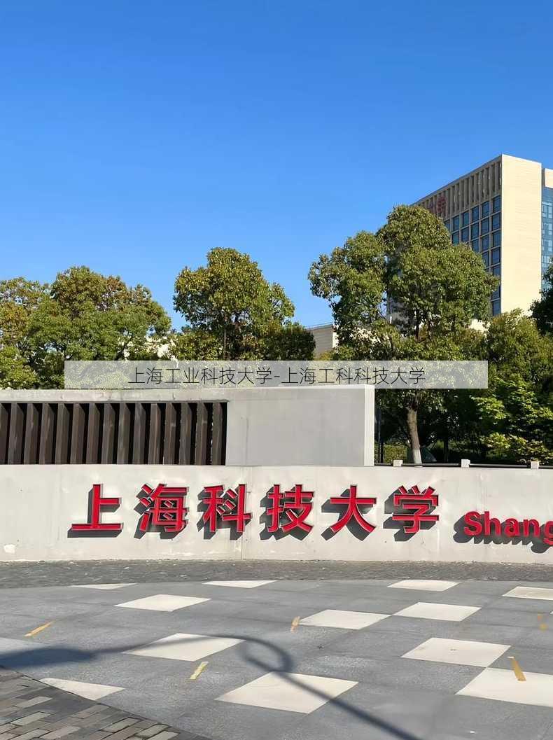 上海工业科技大学-上海工科科技大学